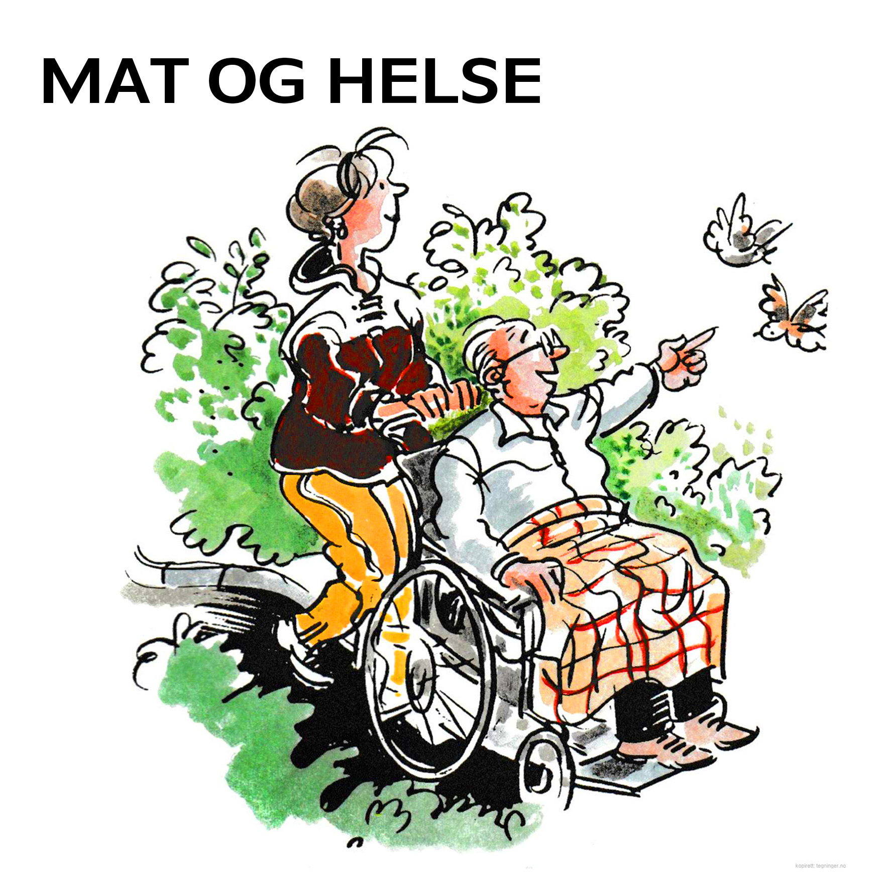 MAT OG HELSE