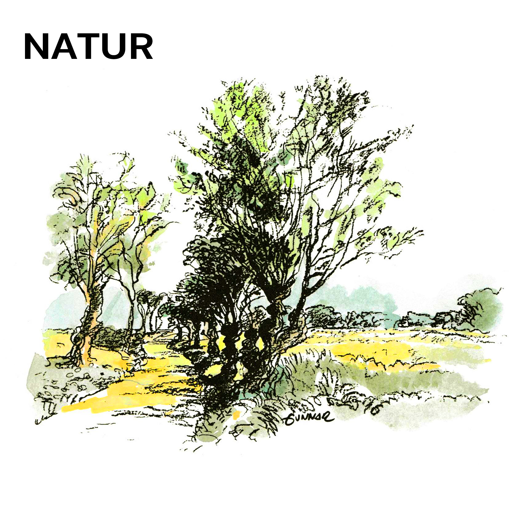 NATUR