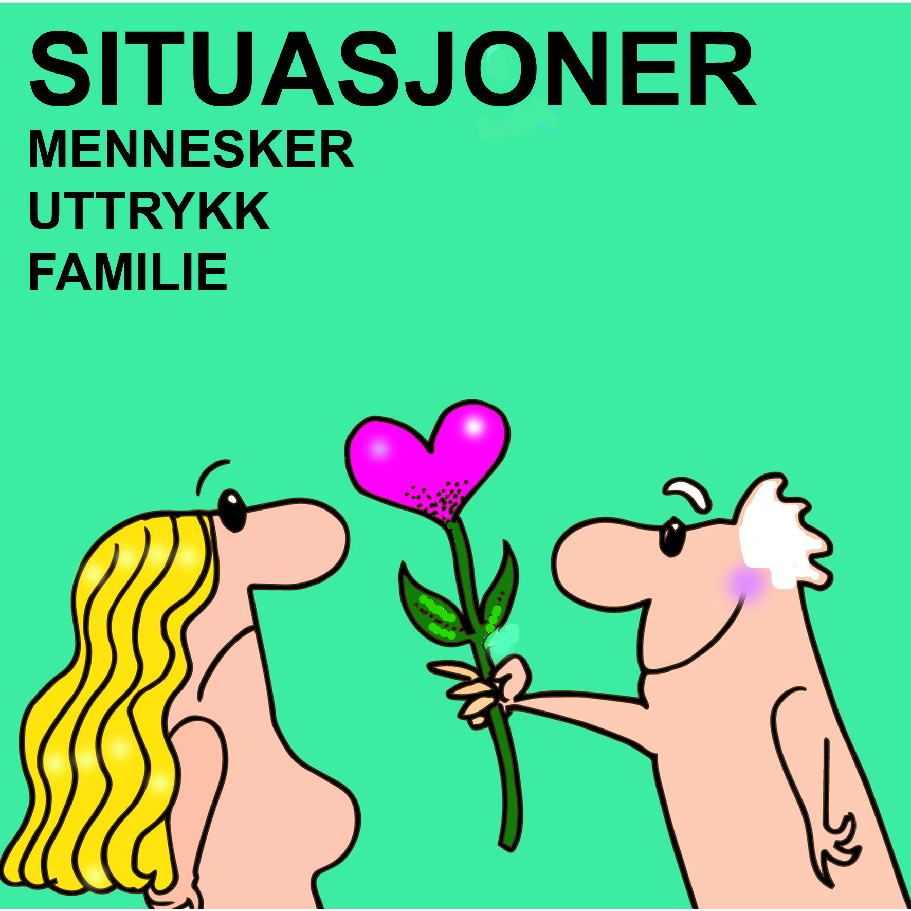 SITUASJONER