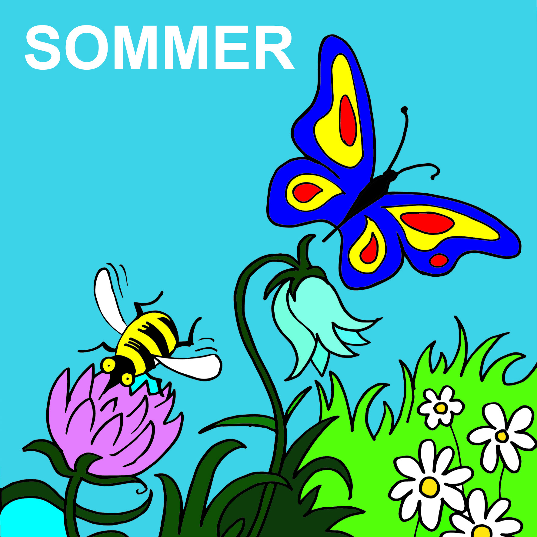 SOMMER