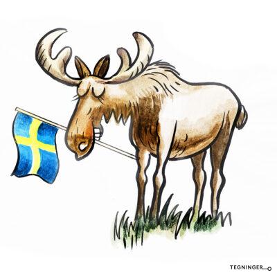 Älg med svensk flagga