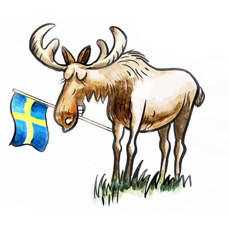 Älg med svensk flagga