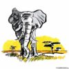 Afrikansk elefant på savannen – DYR