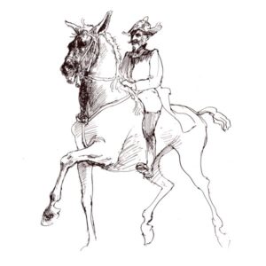 Hest og rytter – DYR