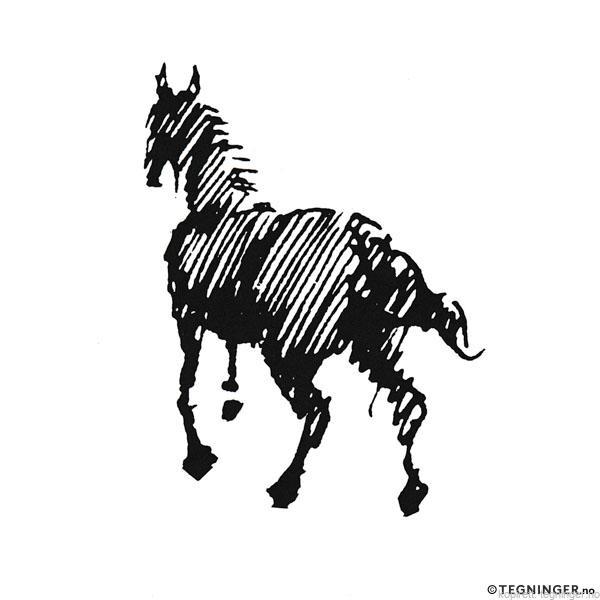 Hest – DYR