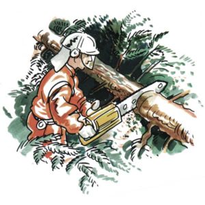 Skogsarbeider - YRKER