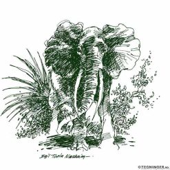Elefant – NATUR