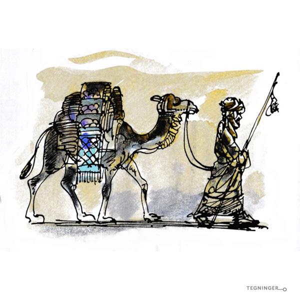 Kamel og beduin - JUL