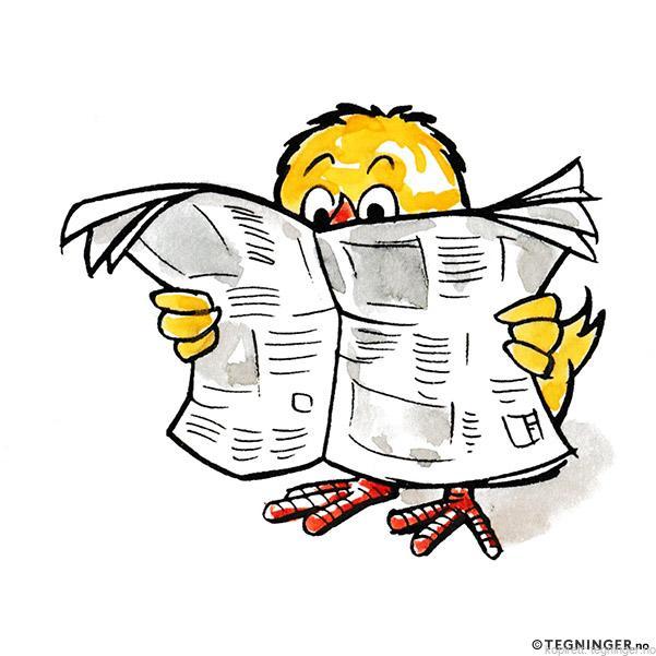 Påskekylling leser avis – PÅSKE